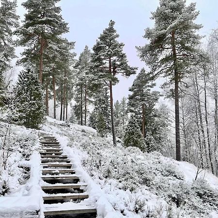 Villa Laidike With Sauna/Fireplace, 80 Km Helsinki Suomusjarvi 外观 照片