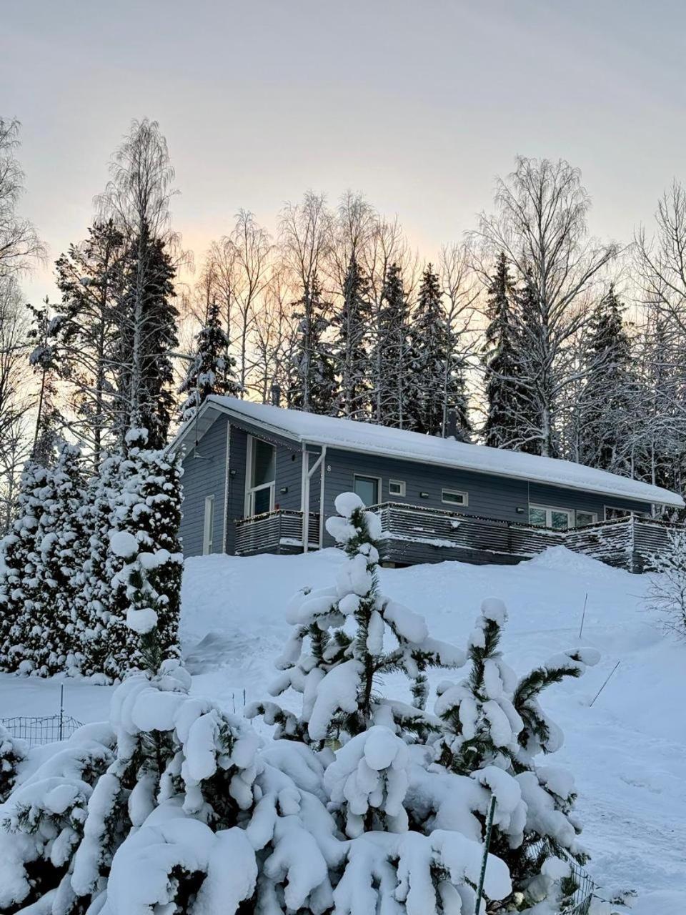 Villa Laidike With Sauna/Fireplace, 80 Km Helsinki Suomusjarvi 外观 照片